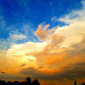 Meet your Posher, Jenn